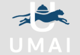 Компания UMAI 